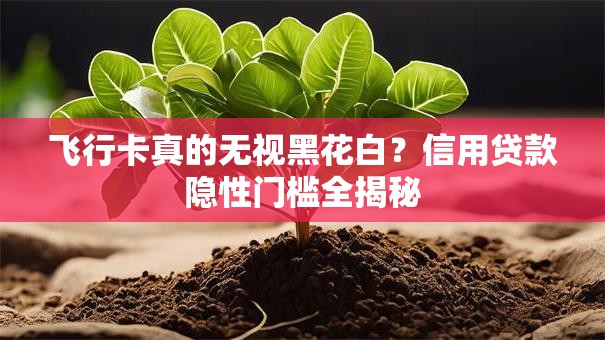 飞行卡真的无视黑花白？信用贷款隐性门槛全揭秘
