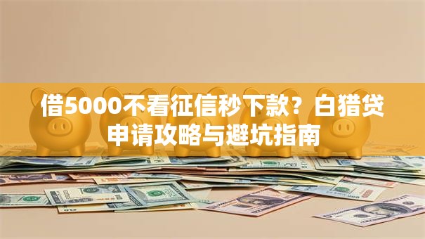 借5000不看征信秒下款？白猎贷申请攻略与避坑指南