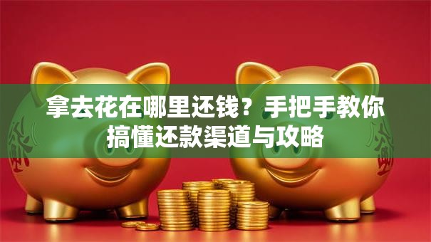 拿去花在哪里还钱？手把手教你搞懂还款渠道与攻略