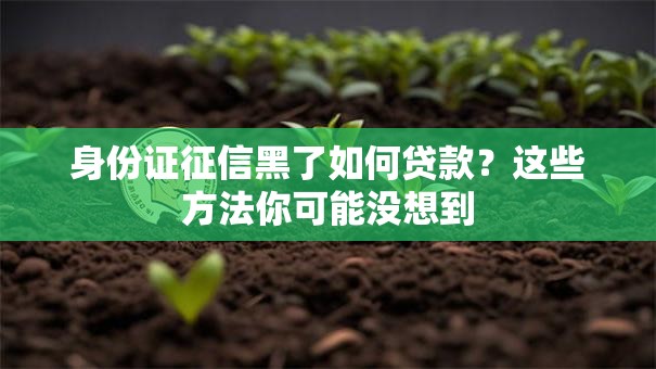 身份证征信黑了如何贷款？这些方法你可能没想到