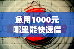 急用1000元哪里能快速借到？试试这5个靠谱渠道