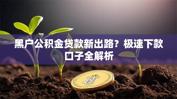 黑户公积金贷款新出路？极速下款口子全解析
