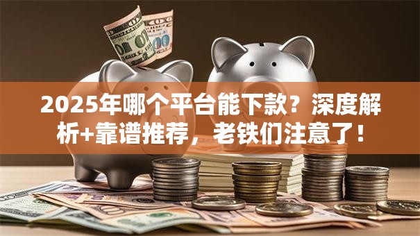 2025年哪个平台能下款？深度解析+靠谱推荐，老铁们注意了！