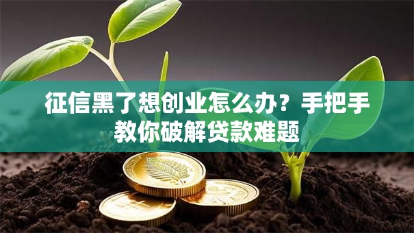 征信黑了想创业怎么办？手把手教你破解贷款难题