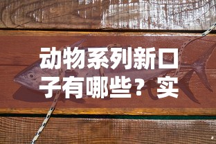 动物系列新口子有哪些？实测这5款动物系产品下款快、门槛低