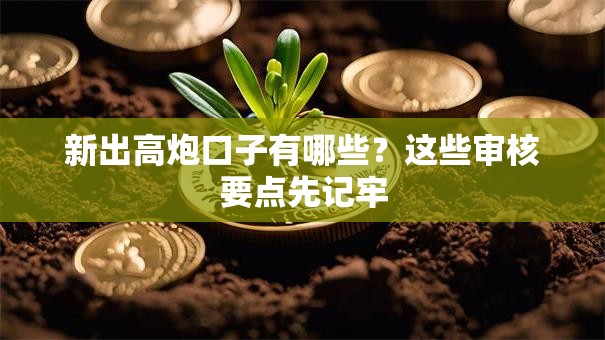 新出高炮口子有哪些？这些审核要点先记牢