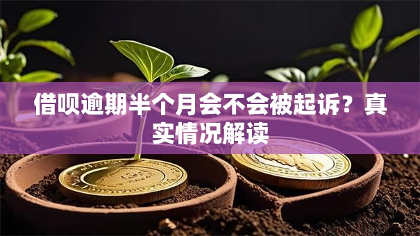 借呗逾期半个月会不会被起诉？真实情况解读