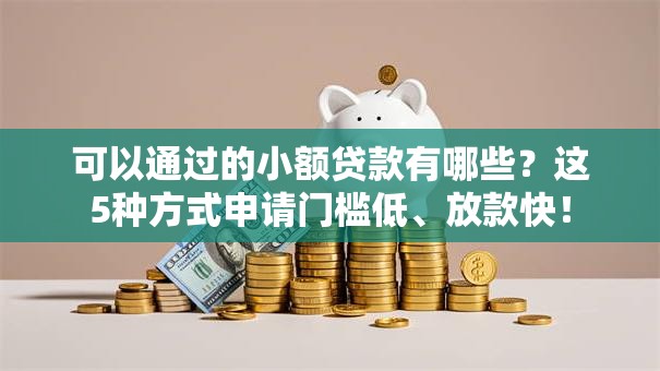 可以通过的小额贷款有哪些？这5种方式申请门槛低、放款快！