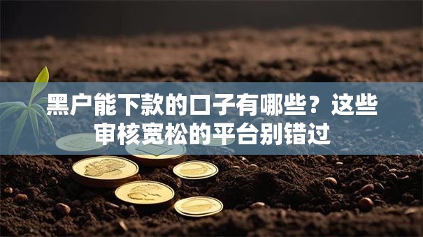 黑户能下款的口子有哪些？这些审核宽松的平台别错过