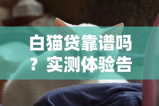 白猫贷靠谱吗？实测体验告诉你有没有隐藏的坑！