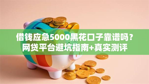 借钱应急5000黑花口子靠谱吗？网贷平台避坑指南+真实测评
