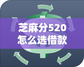 芝麻分520怎么选借款期限最划算？信用小白必看攻略