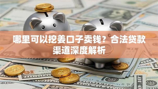哪里可以挖姜口子卖钱？合法贷款渠道深度解析