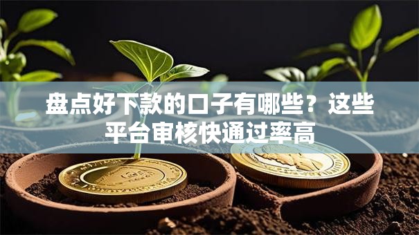 盘点好下款的口子有哪些？这些平台审核快通过率高