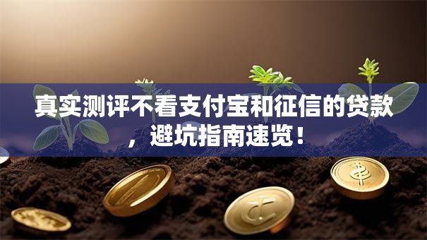 真实测评不看支付宝和征信的贷款，避坑指南速览！