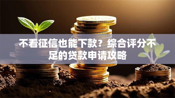 不看征信也能下款？综合评分不足的贷款申请攻略