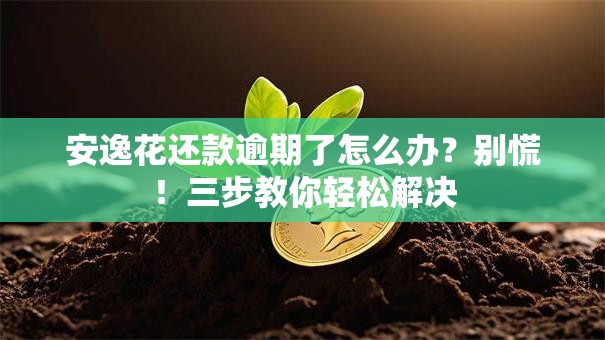 安逸花还款逾期了怎么办？别慌！三步教你轻松解决
