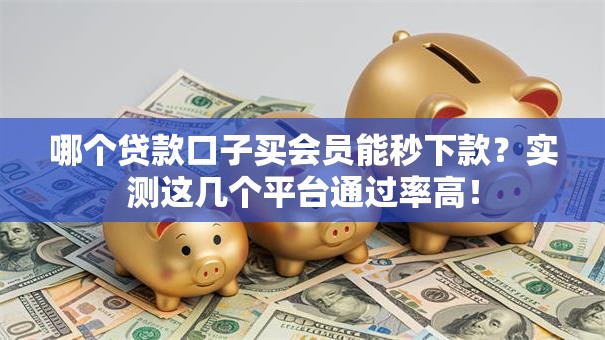 哪个贷款口子买会员能秒下款？实测这几个平台通过率高！