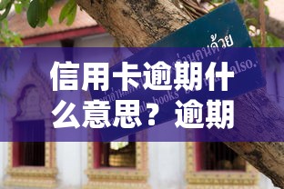 信用卡逾期什么意思？逾期后果、处理办法及补救指南