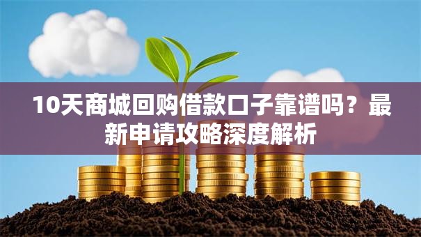 10天商城回购借款口子靠谱吗？最新申请攻略深度解析