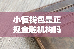 小恒钱包是正规金融机构吗？贷款用户必看的深度解析！