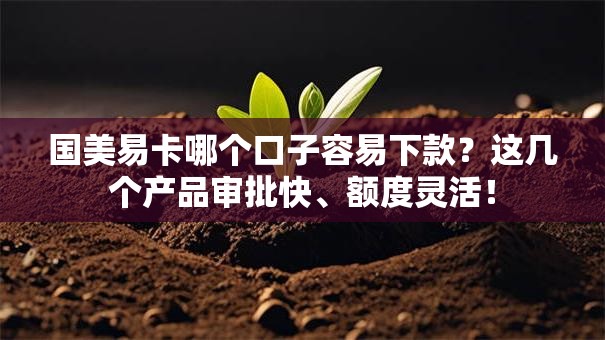 国美易卡哪个口子容易下款？这几个产品审批快、额度灵活！
