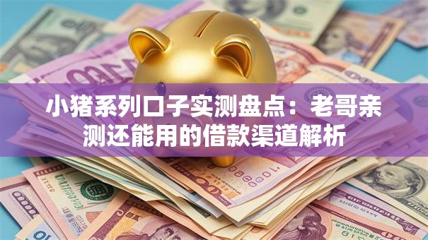 小猪系列口子实测盘点：老哥亲测还能用的借款渠道解析