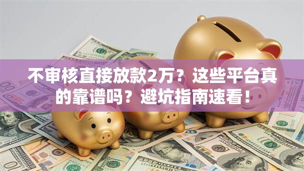 不审核直接放款2万？这些平台真的靠谱吗？避坑指南速看！