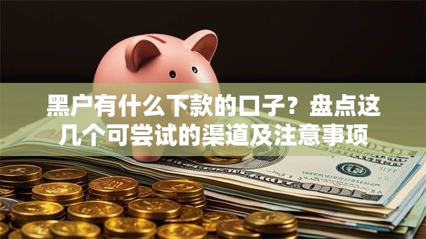 黑户有什么下款的口子？盘点这几个可尝试的渠道及注意事项