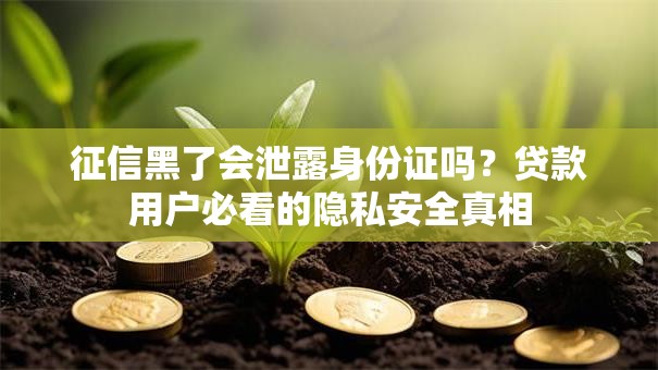 征信黑了会泄露身份证吗？贷款用户必看的隐私安全真相