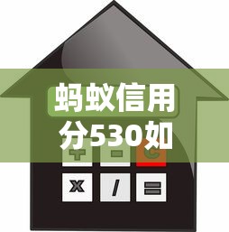 蚂蚁信用分530如何申请汽车贷款？低分攻略+避坑指南