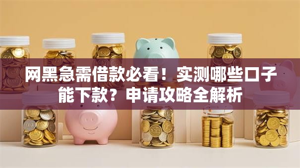 网黑急需借款必看！实测哪些口子能下款？申请攻略全解析