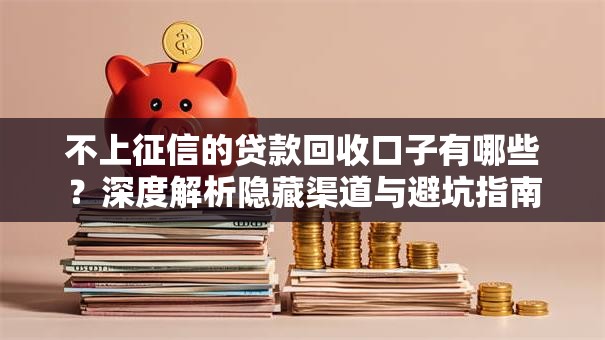 不上征信的贷款回收口子有哪些？深度解析隐藏渠道与避坑指南