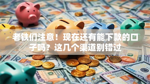 老铁们注意！现在还有能下款的口子吗？这几个渠道别错过