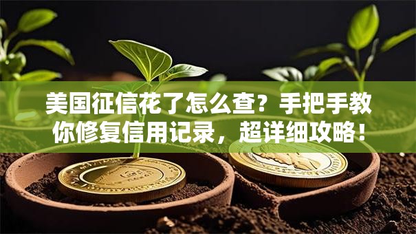 美国征信花了怎么查？手把手教你修复信用记录，超详细攻略！