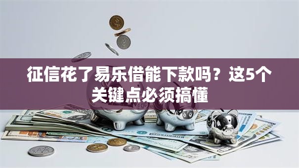 征信花了易乐借能下款吗？这5个关键点必须搞懂