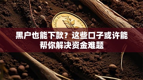 黑户也能下款？这些口子或许能帮你解决资金难题