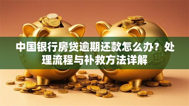 中国银行房贷逾期还款怎么办？处理流程与补救方法详解