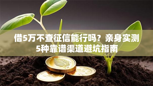 借5万不查征信能行吗？亲身实测5种靠谱渠道避坑指南