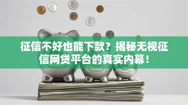 征信不好也能下款？揭秘无视征信网贷平台的真实内幕！