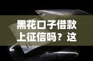 黑花口子借款上征信吗？这些细节你必须了解！