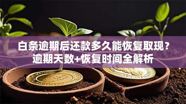 白条逾期后还款多久能恢复取现？逾期天数+恢复时间全解析