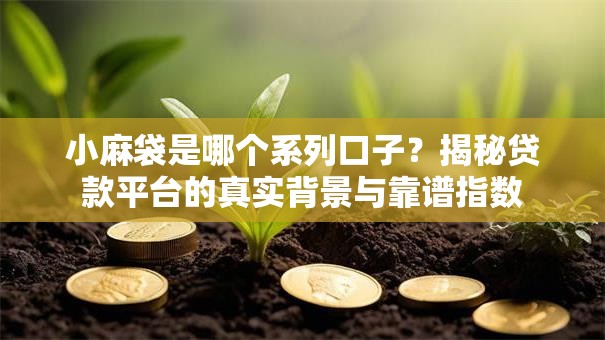 小麻袋是哪个系列口子？揭秘贷款平台的真实背景与靠谱指数