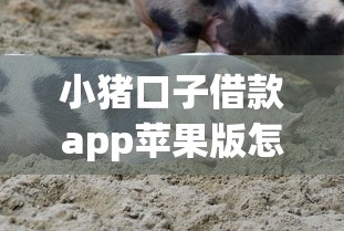 小猪口子借款app苹果版怎么样？真实测评与避坑指南分享