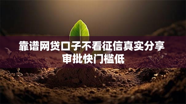 靠谱网贷口子不看征信真实分享 审批快门槛低