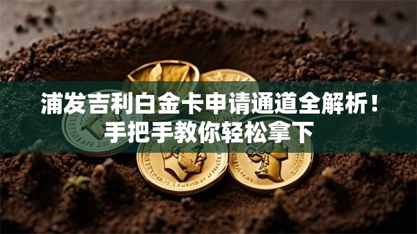 浦发吉利白金卡申请通道全解析！手把手教你轻松拿下