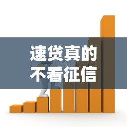 速贷真的不看征信吗？揭秘这5个关键点让你贷款不踩坑！