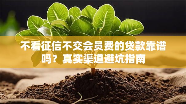 不看征信不交会员费的贷款靠谱吗？真实渠道避坑指南