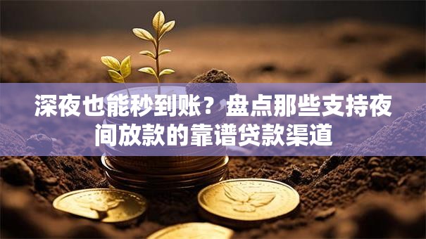 深夜也能秒到账？盘点那些支持夜间放款的靠谱贷款渠道