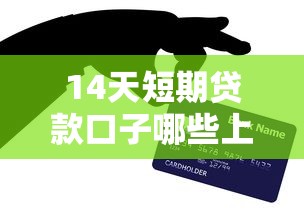 14天短期贷款口子哪些上征信？实测避坑指南